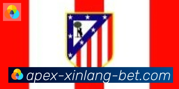 新浪体育合作伙伴